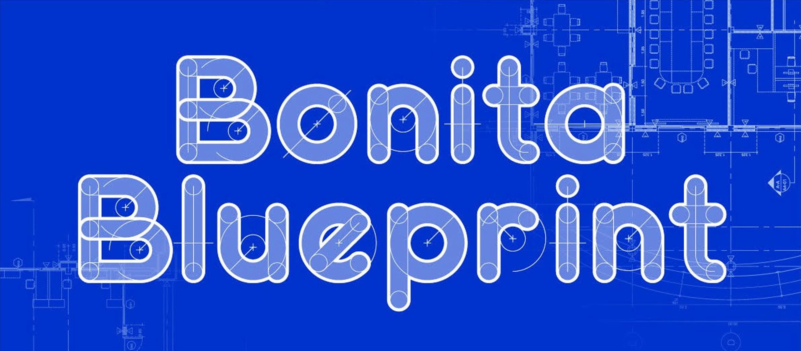 BONITA BLUEPRINT